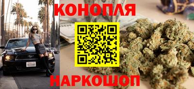 spice Севастополь