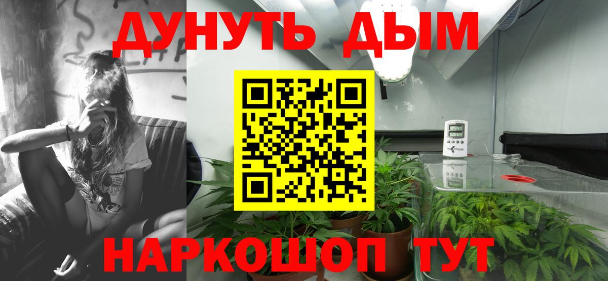 Шишки марихуана White Widow  Бошки марихуана сатива  Вход с VPN  Мурманск 